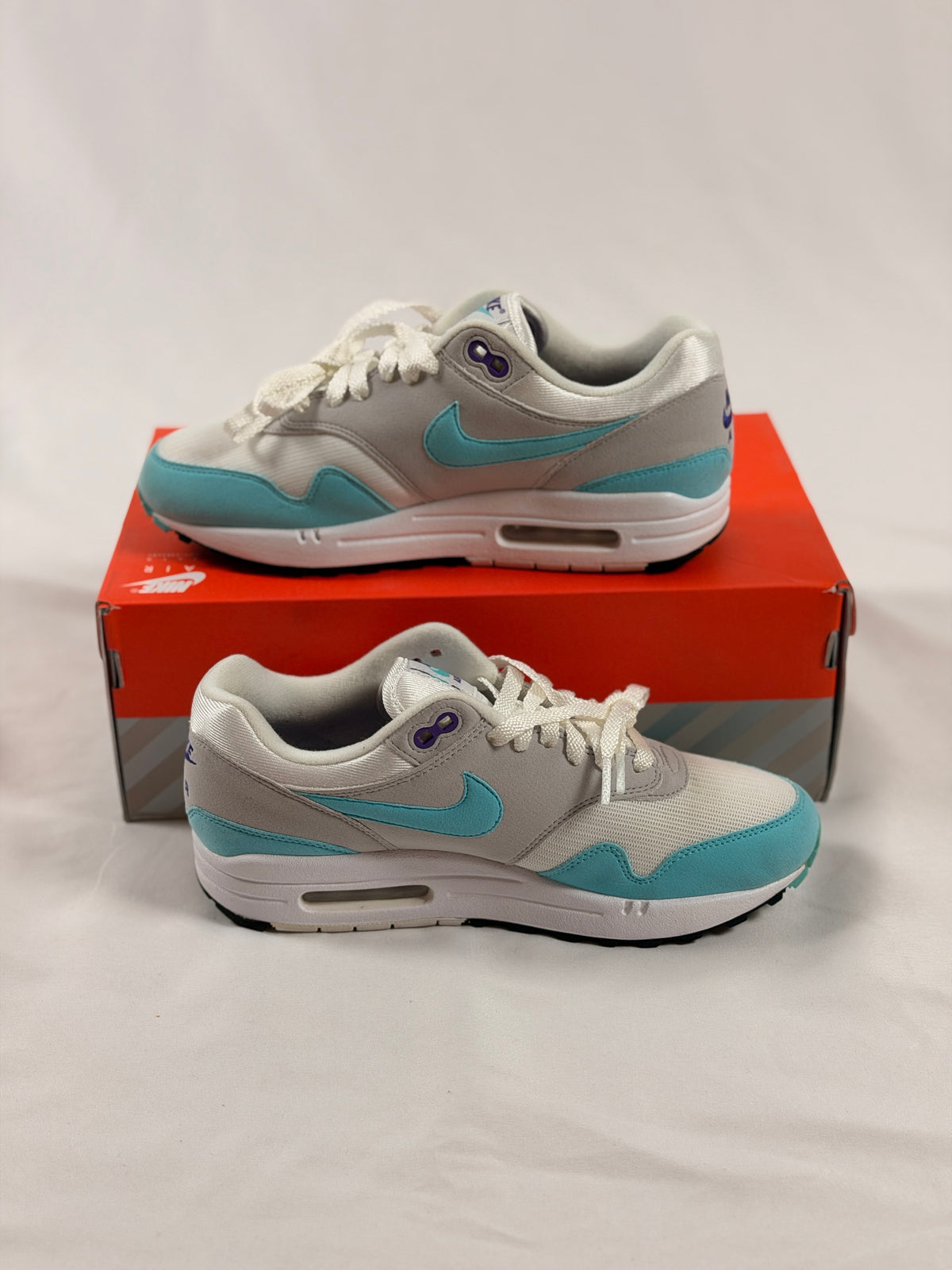 Nike Air Max 1 OG Anniversary Aqua (Pre-Owned) (2017)