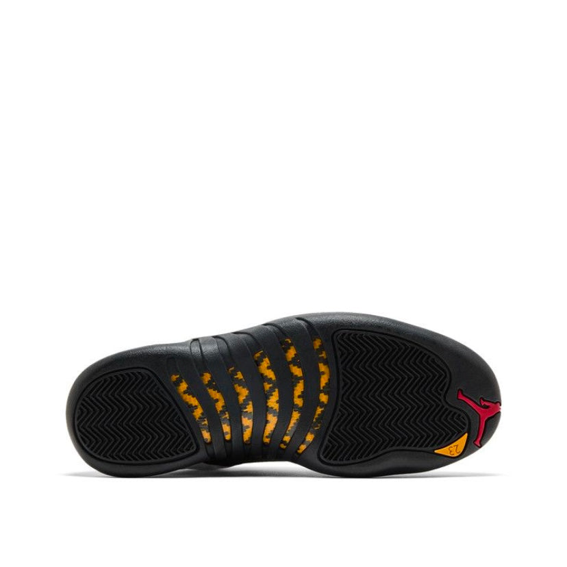 Jordan 12 Taxi (2025)