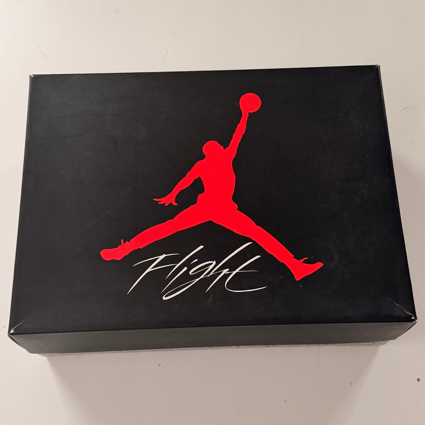 Jordan 4 Dunk From Above (Pre-Owned)