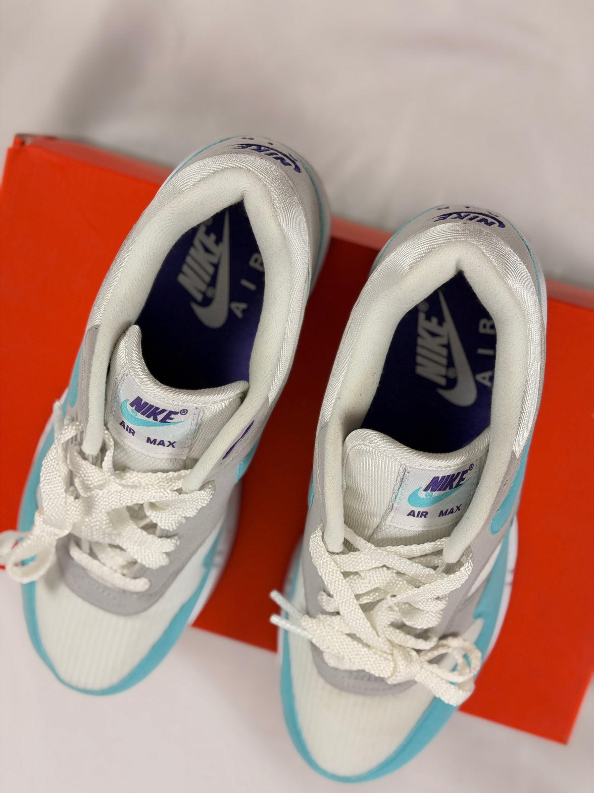 Nike Air Max 1 OG Anniversary Aqua (Pre-Owned) (2017)