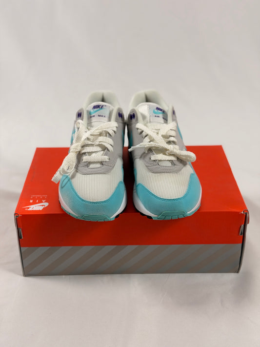 Nike Air Max 1 OG Anniversary Aqua (Pre-Owned) (2017)
